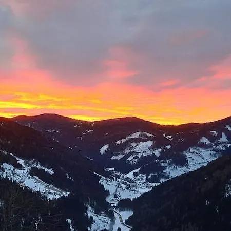 Zirbennest Daire Ebene Reichenau