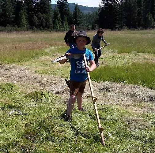 Zirbennest Apartament