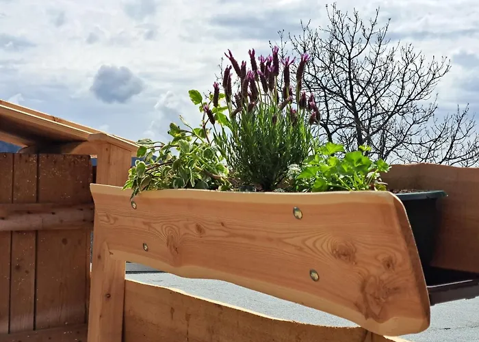 Apartamento Zirbennest *